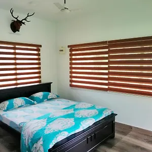 Noah's Nest Tree House , Thekkady Inde